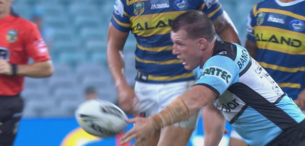 Gallen sparks Sharks