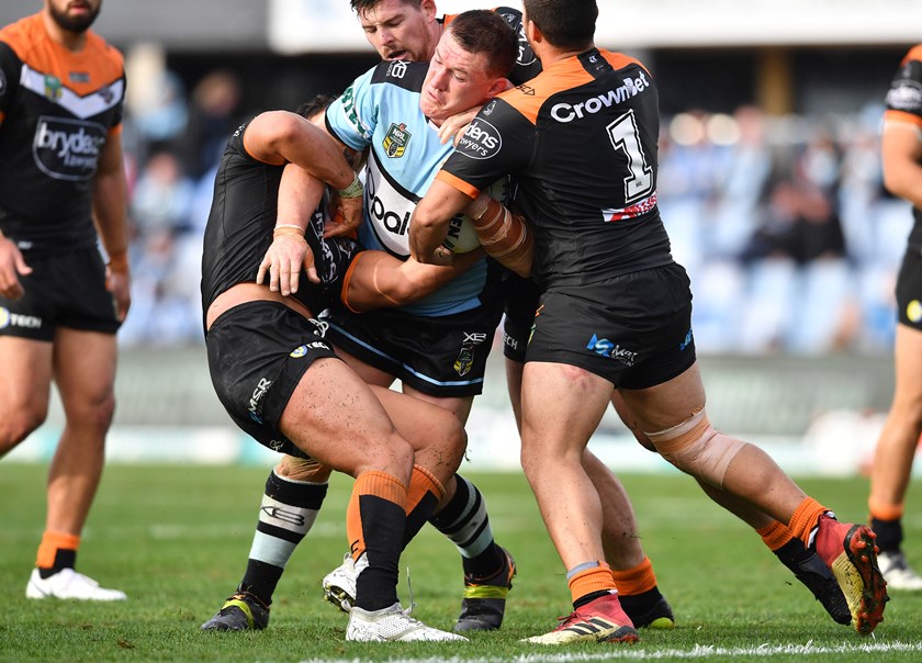 Sharks lock Paul Gallen.