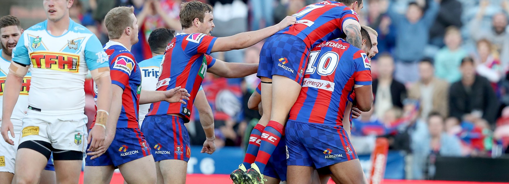 The Knights celebrate a try against the Titans.