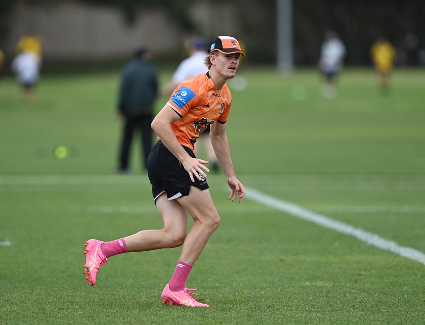 Wests Tigers hope to unearth more talent like star rookie Lachlan Galvin in their huge junior nursery.